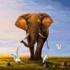 Olifant met Vogels